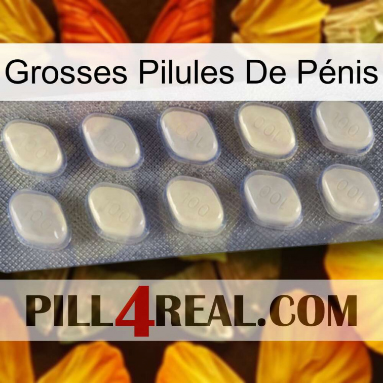 Grosses Pilules De Pénis 08